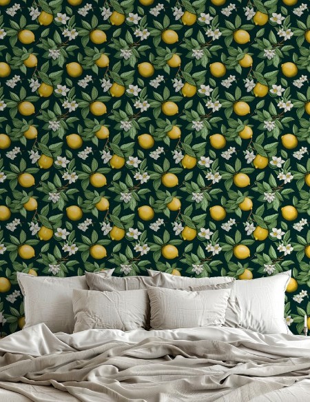 Image de Coloration - Clara Black  - 1016202-03 - 04243-01